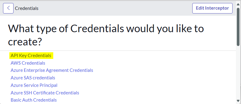 07_API Key credential.png